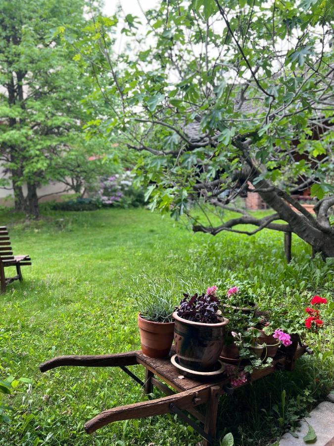 La Casa Arancione Hotel Boves Екстериор снимка